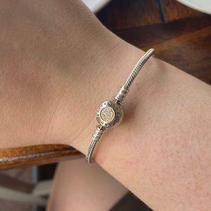 Pandora bracelet